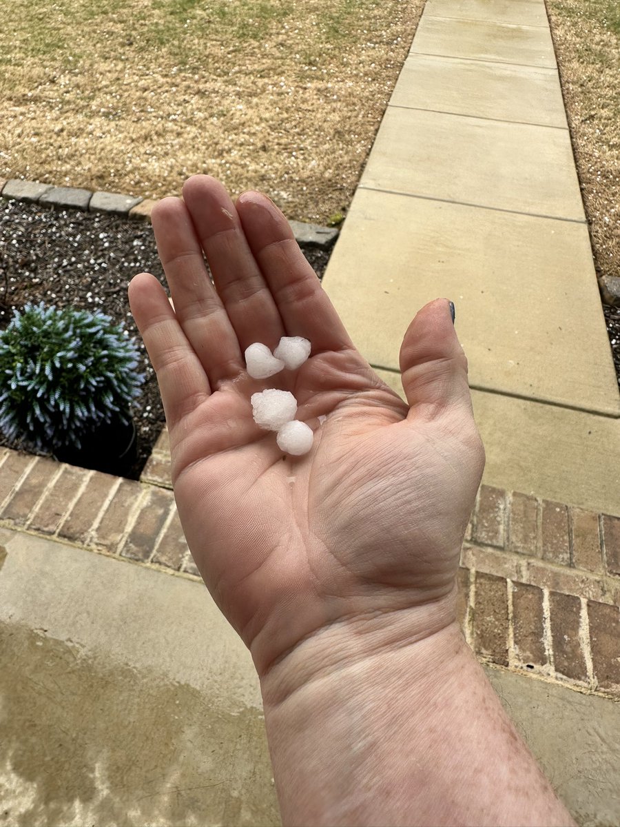 jenmet2010's tweet photo. @waff48 Hail in Priceville https://t.co/vBD3Sfc5vn