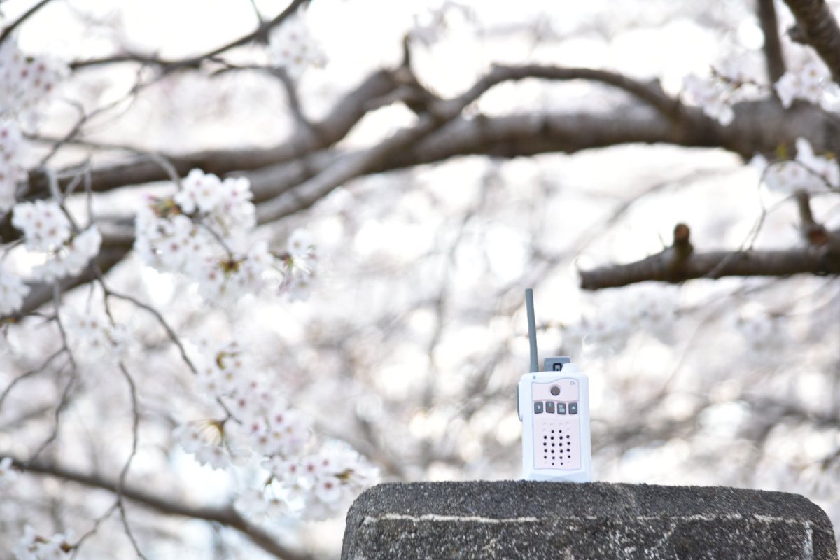 【公式】アルインコ株式会社 IoT tweet media