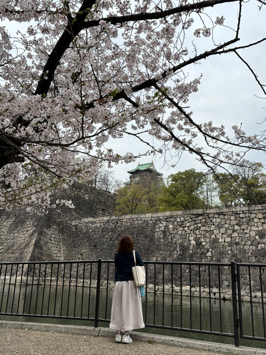 _nene_da_'s tweet photo. おはようございます😊
昨日もAudireを着てお出かけ🌸
カメラマンに撮ってもらいました♡♡♡😂

今回はデニムジャケットでカジュアルに👗
Audireは着こなしでフォーマルにもカジュアルにもコーデが出来るからありがたいです🥰

#Audire
#桜
#大阪城
#大阪城公園
#郡司恭子 アナ https://t.co/1iywyHkhzg