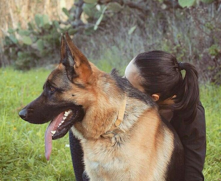 liljasmine23's tweet photo. Text me on telegram 🥵👇👇https://t.co/fnLTt8dbgt
#zo… #zoosarevalid #beastiality
#dogknot #zooprideisvalid #antizoo #antizoophileantizoo #k9girl #zoopride #zoophilepride #zoopositivity
#Bestdogknottingcontent https://t.co/uUUSDJlyc3