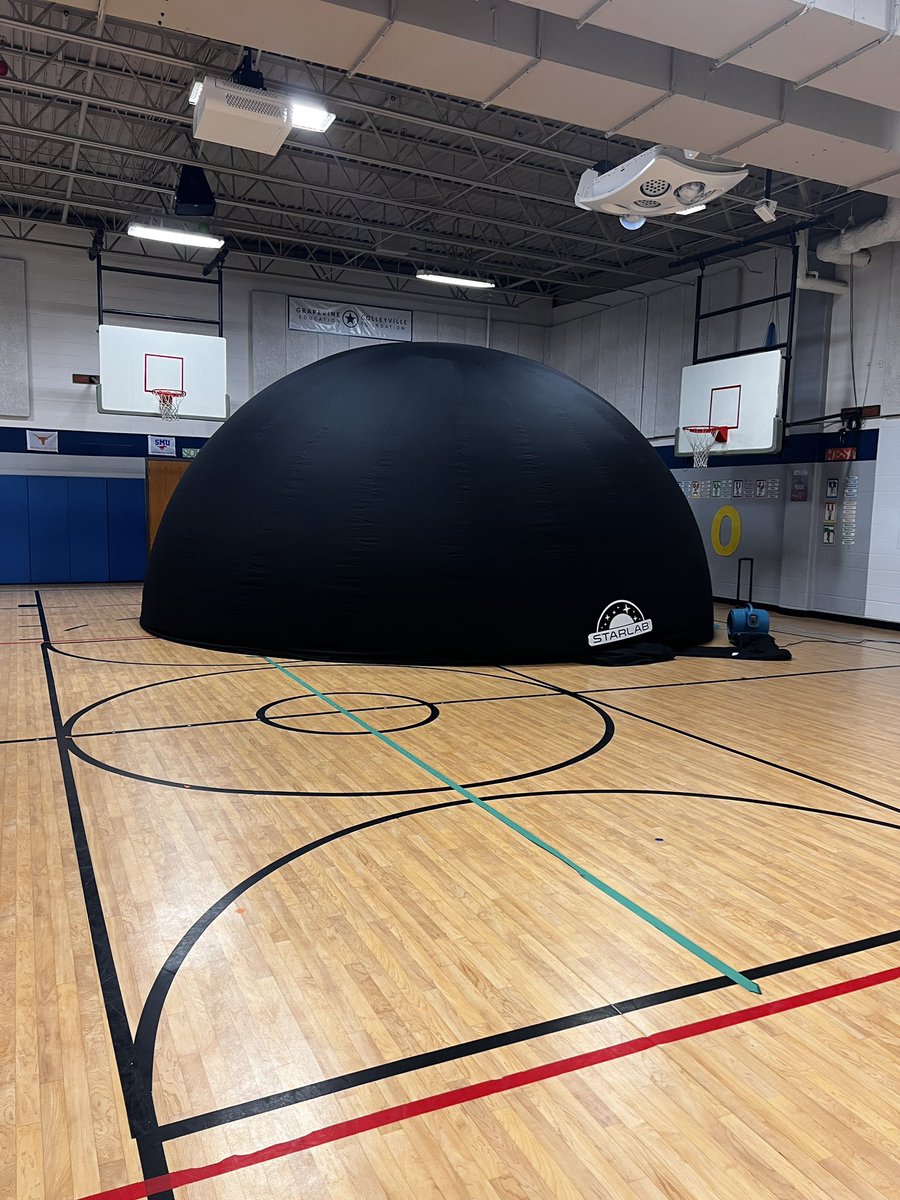 june gray tweet media