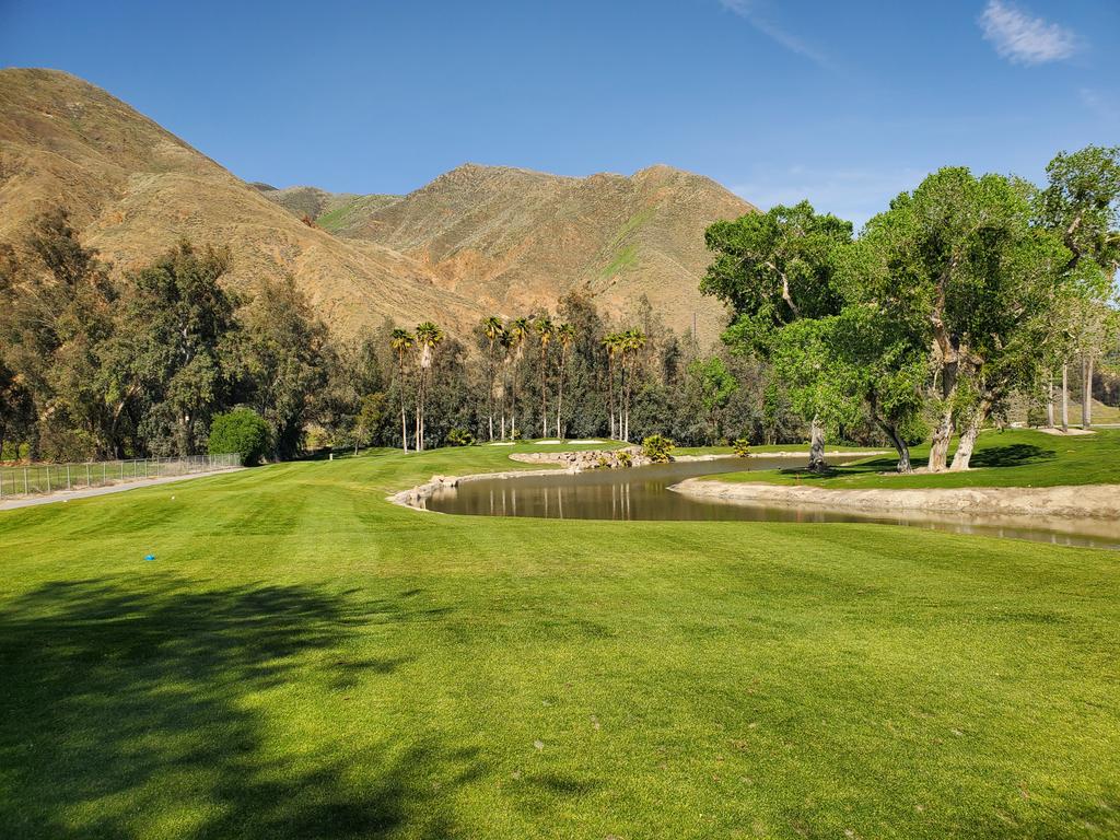 Christian Maki tweet media