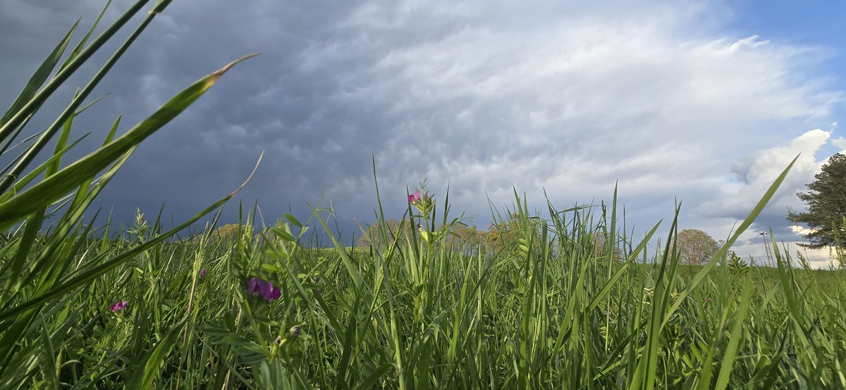 stormchasinchick tweet media