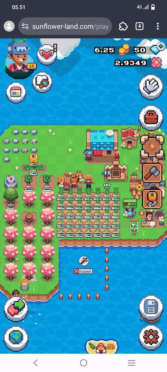 azaibey's tweet photo. #SunflowerLandFarm  i love my farm https://t.co/EXbNJcwGl7
