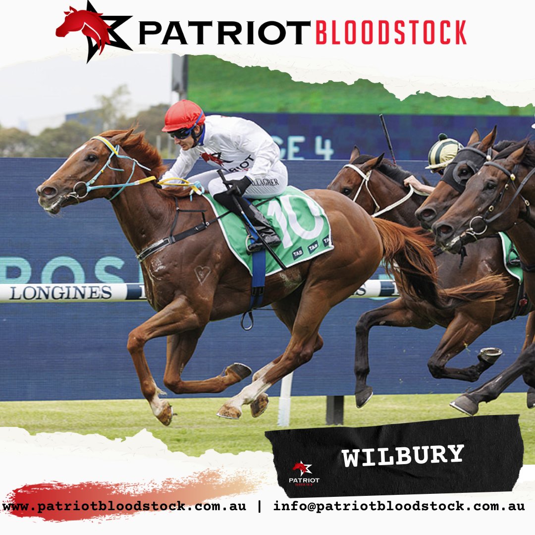 Orange R4 5 WILBURY 
Best of luck to his co-owners
<a href="/Haydenkastelein/">Hayden Kastelein</a>
<a href="/RobbieRingland/">Robbie Ringland</a>
<a href="/jocasta1964/">My Business 🇦🇺🦘</a>
<a href="/cliffbingham/">Cliff Bingham</a>
<a href="/darrah_ross/">Ross Darrah</a>
<a href="/HarfSerious/">Daniel Harford</a>
<a href="/Woosha23/">Woosha</a>
<a href="/MickHarf/">Mick Harford</a>
<a href="/lukeharf/">Doctor Rosenpenis</a>
<a href="/benwellsy00/">Ben Wells</a>
<a href="/petern1986/">Peter</a>
<a href="/BrianGl34411079/">Brian Glass</a>
<a href="/kitten65014/">babybearstoes</a>
<a href="/JasonMutimer/">Jason Mutimer</a>
<a href="/MutimerScott/">Scott mutimer</a>