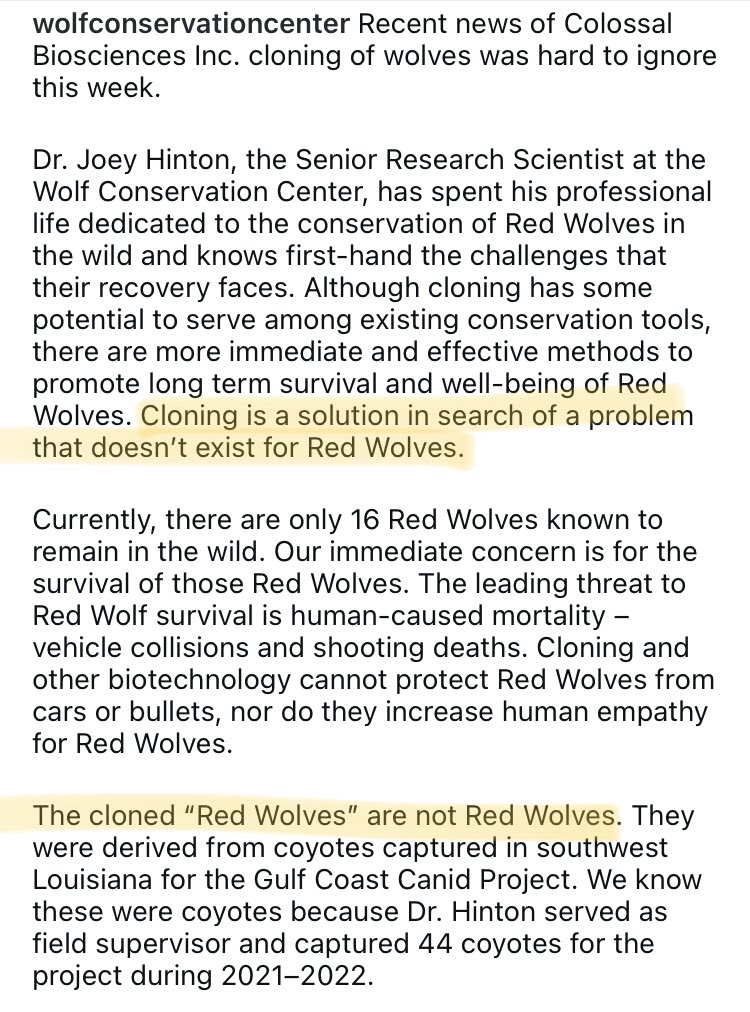 Sandra Lai @sandralai.bsky.social (@arctic_paws) on Twitter photo Just saying, the āRed Wolvesā that <a href="/colossal/">Colossal BiosciencesĀ®</a> said they cloned are also not Red Wolves. The Wolf Conservation Center issued a statement. In addition to the <a href="/colossal/">Colossal BiosciencesĀ®</a>ās inaccuracies, I agree that creating individuals that will not make it in the wild is neither useful nor ethical. Just saying, the āRed Wolvesā that <a href="/colossal/">Colossal BiosciencesĀ®</a> said they cloned are also not Red Wolves. The Wolf Conservation Center issued a statement. In addition to the <a href="/colossal/">Colossal BiosciencesĀ®</a>ās inaccuracies, I agree that creating individuals that will not make it in the wild is neither useful nor ethical.