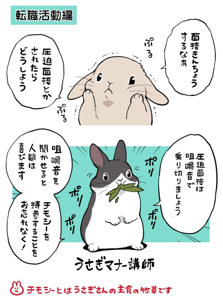 \ 新連載スタート! /
圧迫面接の対処法。
--
「うさぎマナー講師 by井口病院 @ichthy0stega 」
#ヤメコミ #うさぎ
▼井口病院さんの作品はこちらからも読めます
https://t.co/V0WY5ZEzQn