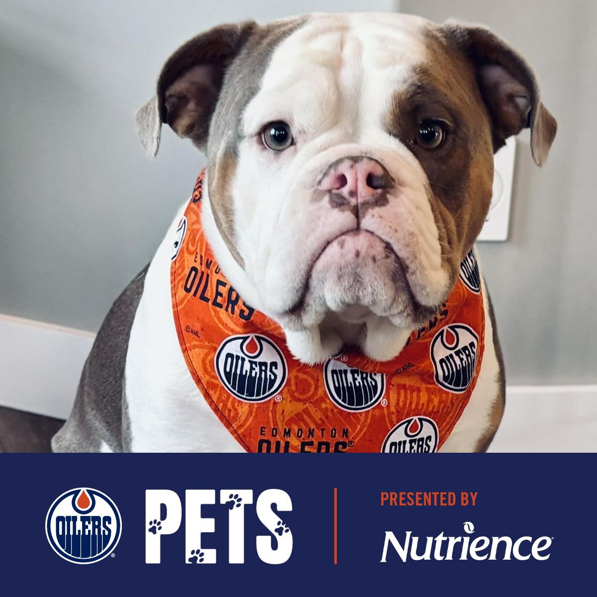 Edmonton Oilers tweet media