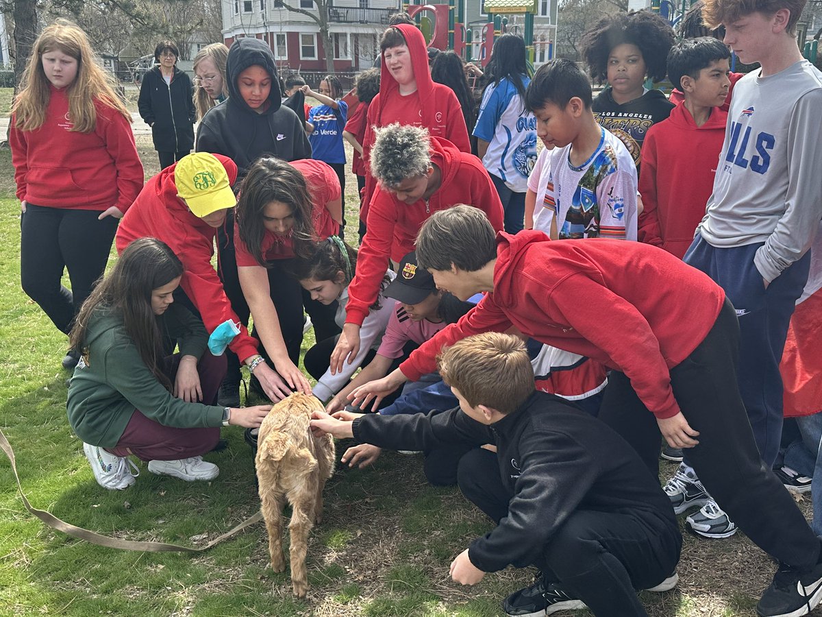 GuyonNicole's tweet image. Every school day should also involve baby goats @Community_Prep Today the Vets’ Club welcomed Aidan Simmons and Lou from Gathering Farm 🐐