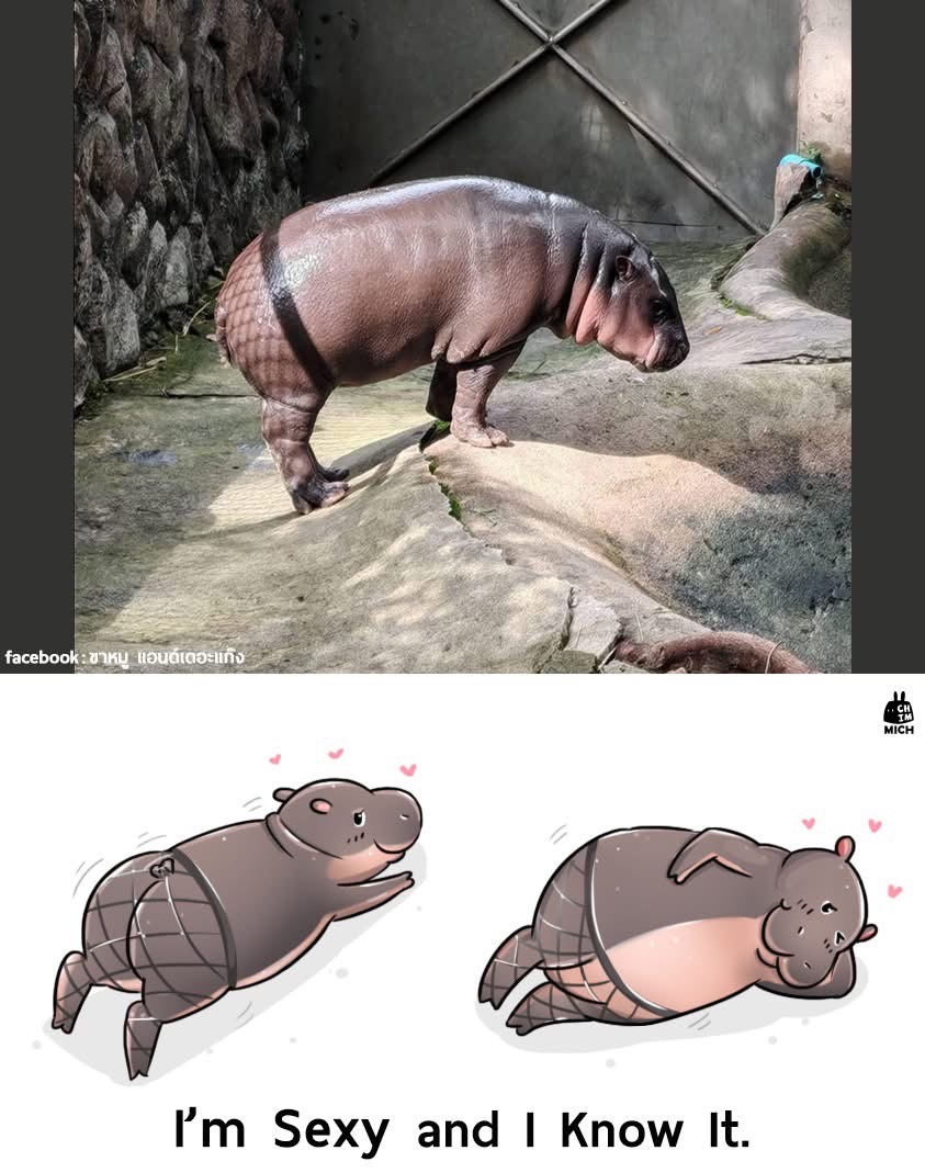 สวนสัตว์เปิดเขาเขียว Khao Kheow Open Zoo tweet media