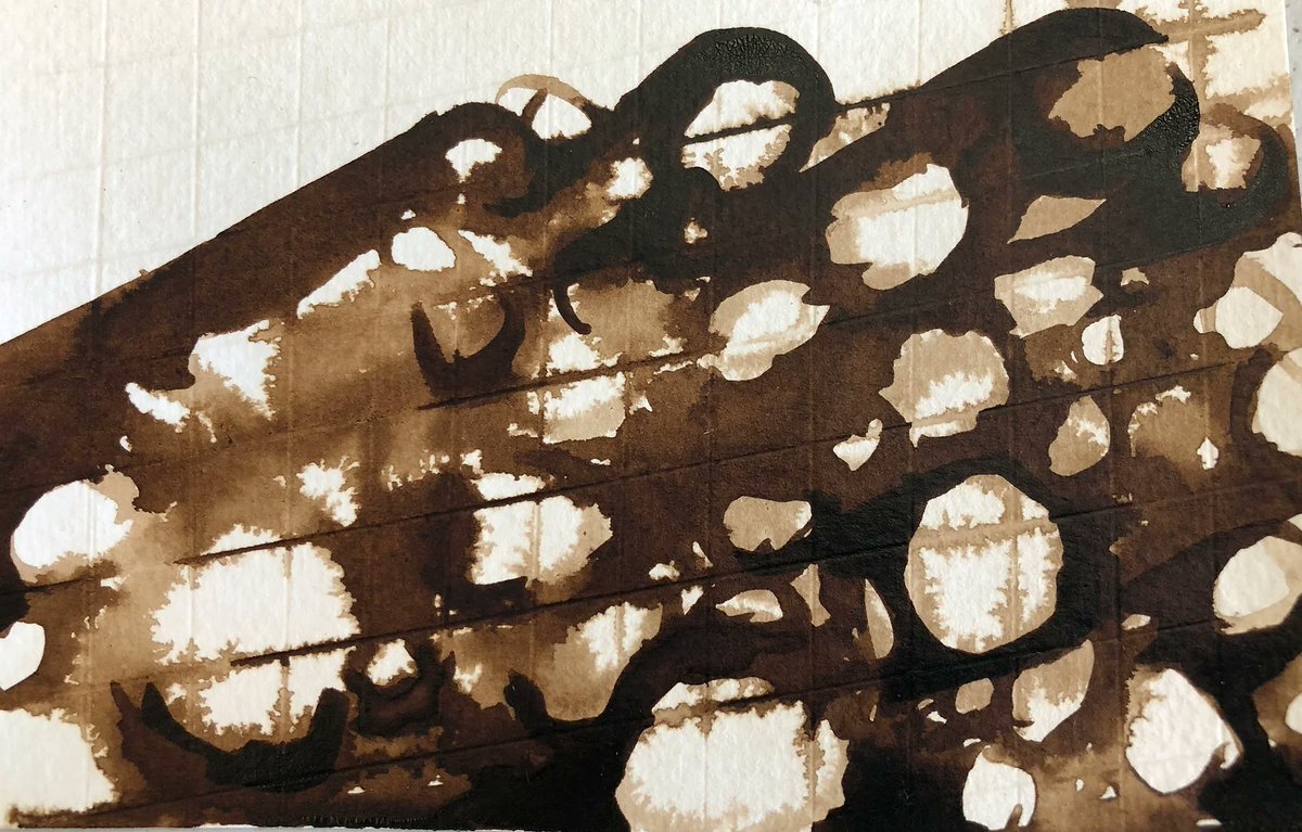 nikidracos's tweet photo. Join us on Sat. April 12, 2 - 5
Two solo exhibitions opening
Lyla Rye: Slash and Burn
Kate Wilson: Celestial Botanics 
General Hardware, 1520 Queen Street West Toronto
#torontogalleries #lylarye #katewilson #contemporaryart #painting #videoart 
https://t.co/SRAytxChab https://t.co/KL6NaRINjc