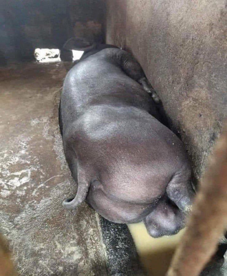 ClarkTrooper69 tweet media