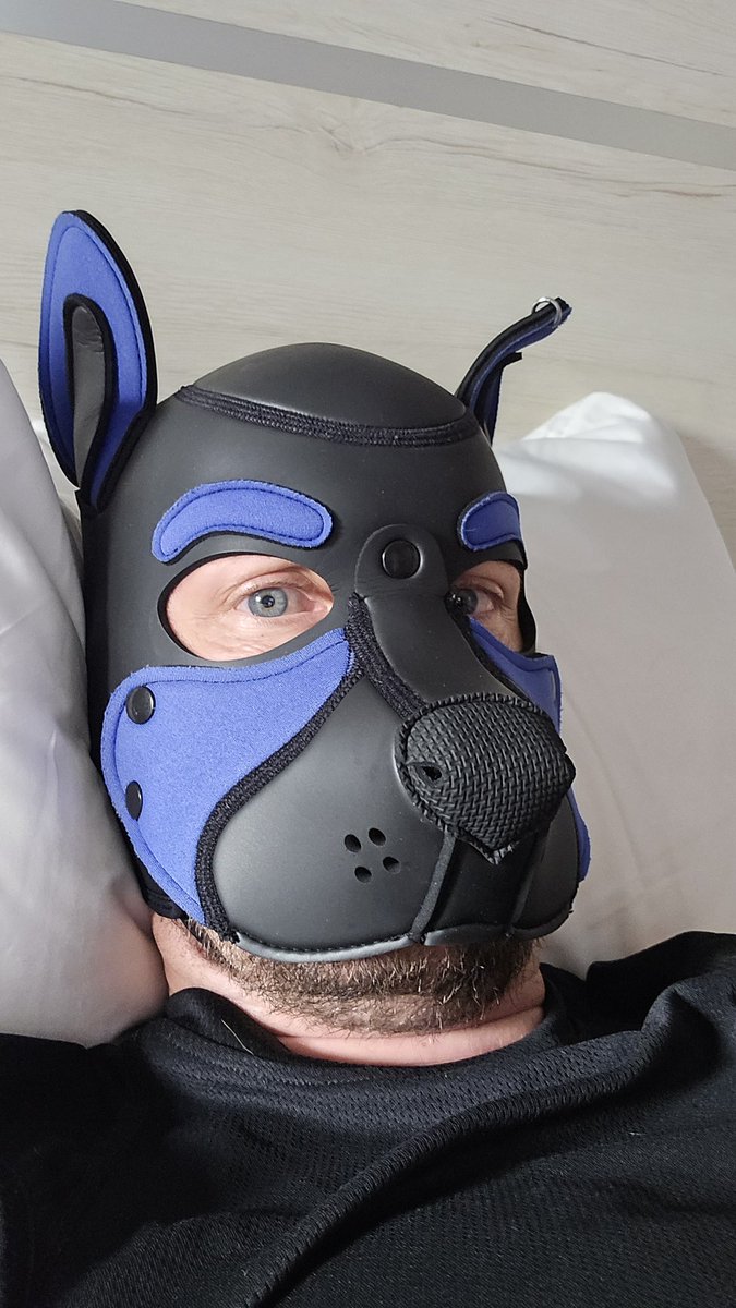 Bark