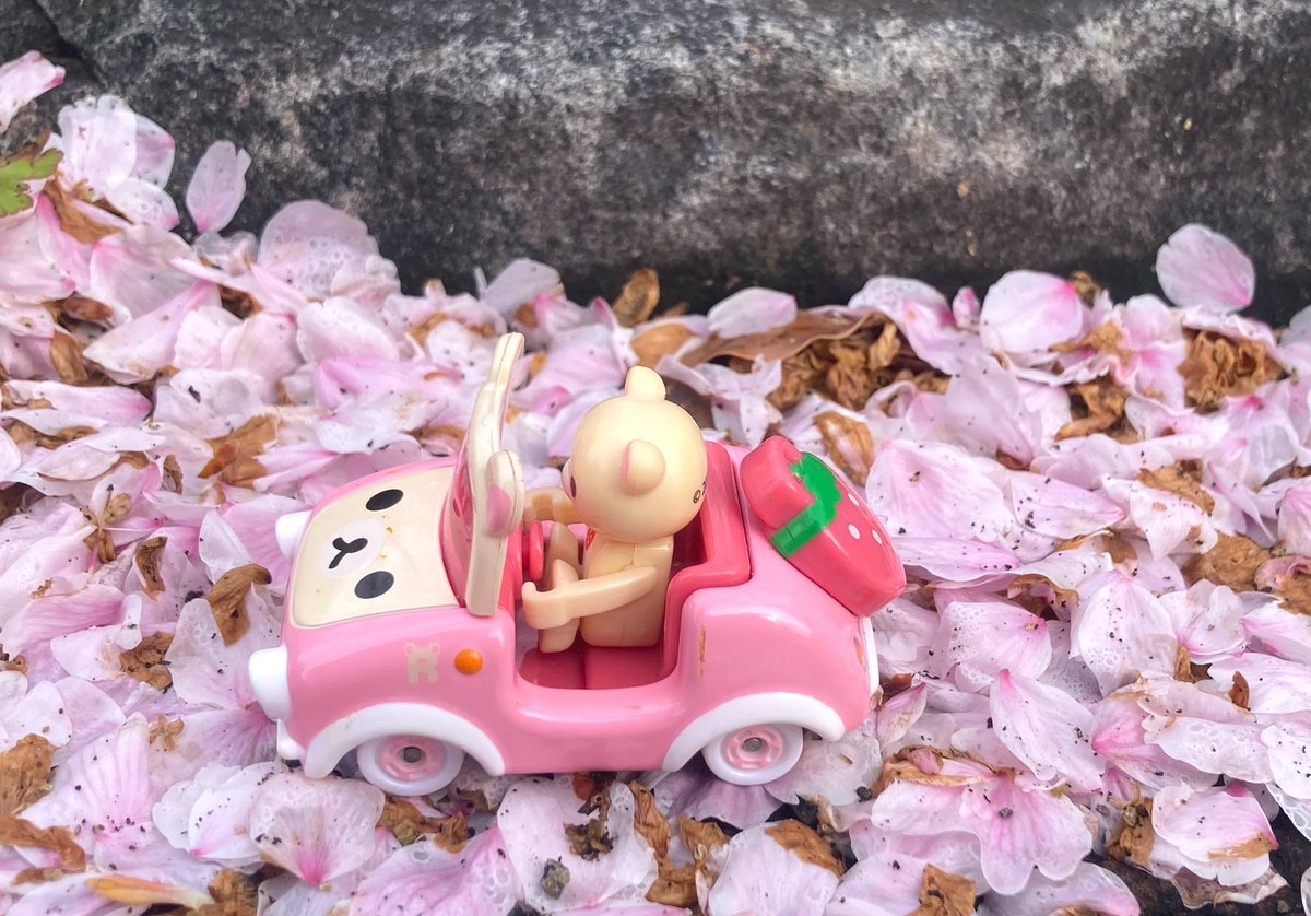 ラムくん (@Lamb_Puppet) / Posts / X