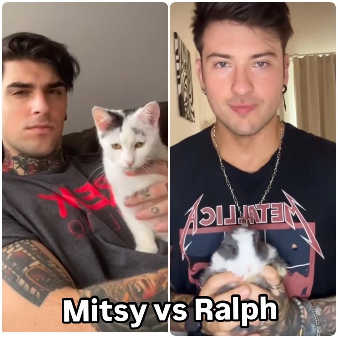 melroseavenue_0's tweet photo. Things are getting a little out of control here at Melrose HQ… so let’s settle this once and for all!
Are you team Mitsy or team Ralph? #explore #bunnydaddy #catsdaddy #melroseavenueband #team https://t.co/modFfQagLh