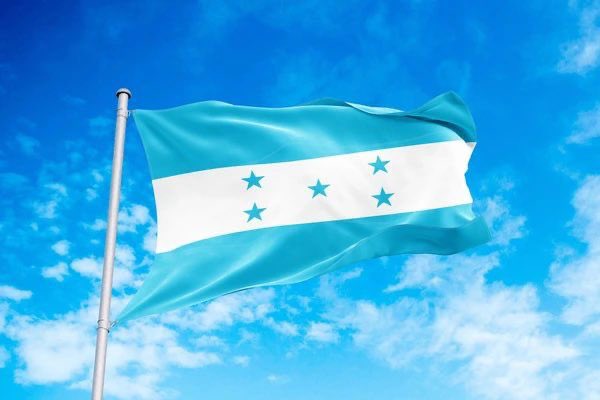 APHall_CNE's tweet image. ¡Gracias a todas y todos por su apoyo! Mi compromiso por Honduras sigue firme hacia Elecciones Generales limpias, transparentes y pacíficas.