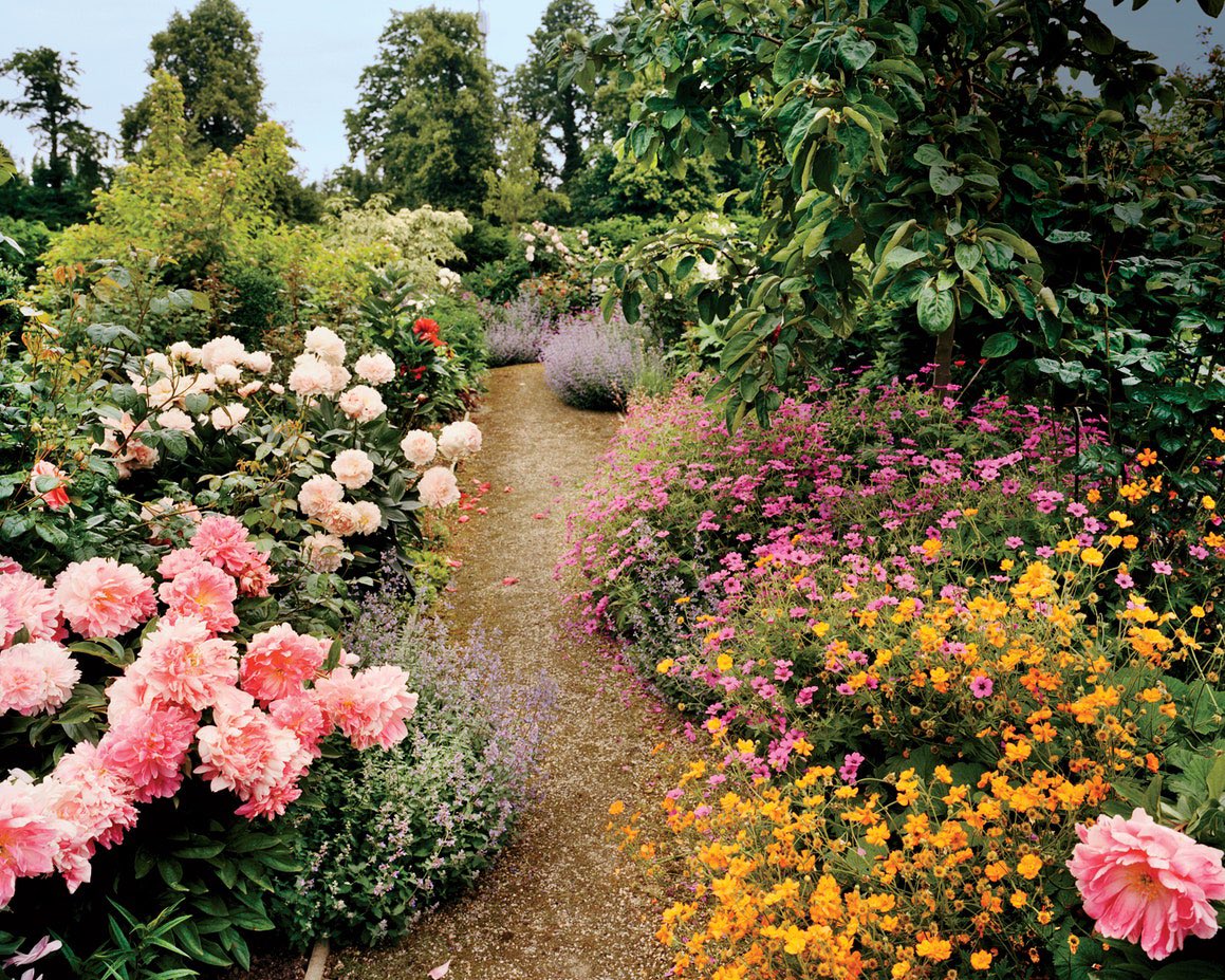 dearvotion's tweet photo. “I quit fashion to focus on my beautiful garden” pipeline is absolutely one of my favorite things. https://t.co/bka7OCedu5