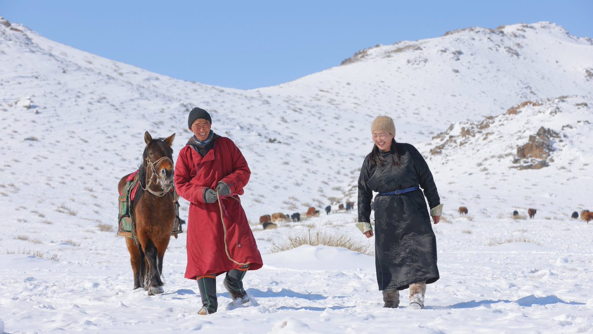As a recent recipient of the 2025 <a href="/UNDP/">UN Development</a> Evaluation Excellence Awards, see how <a href="/UNDPMongolia/">UNDP Mongolia</a> is tackling climate change, desertification &amp; biodiversity loss with integrated solutions that protect people &amp; planet. 

go.undp.org/3r9