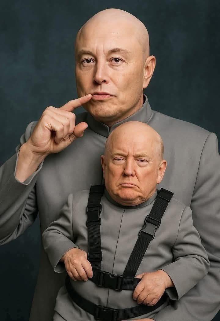 DavidLeavitt's tweet image. 