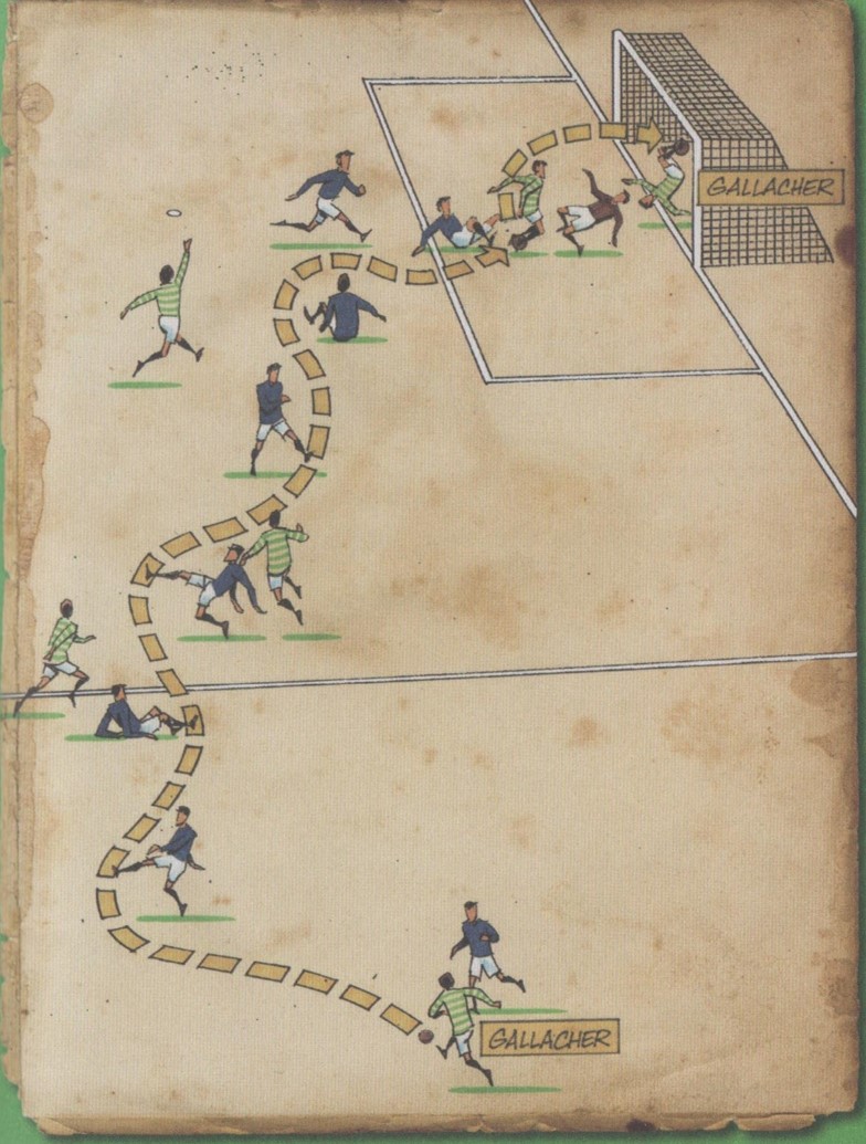 T H E ~ S H A M R O C K ☘️ tweet media