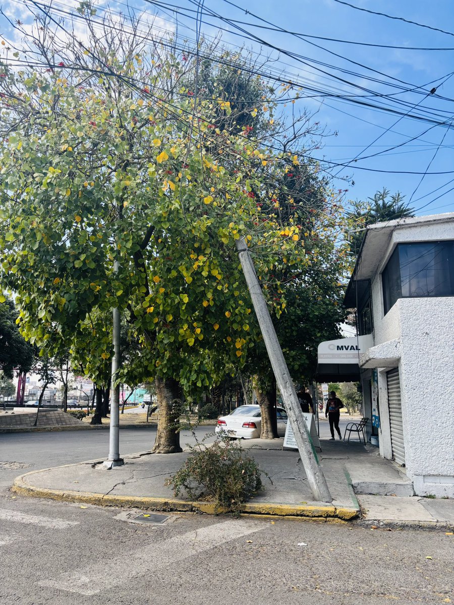 <a href="/TuAlcaldiaGAM/">Alcaldía Gustavo A. Madero</a> <a href="/yancolozano/">Janecarlo Lozano</a> <a href="/SOBSECDMX/">Secretaría de Obras y Servicios CDMX</a> de la manera más atente le solito al alcalde <a href="/yancolozano/">Janecarlo Lozano</a> nos apoye a los vecinos de Aragón primera sección y 525 con la poda de este par de árboles inmensos que están ya por encima de los cables urgente🚨