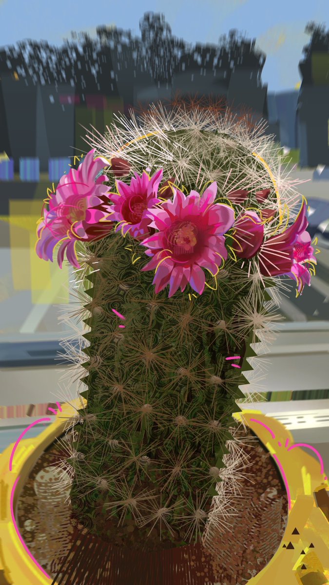 Day 10. This cactus has been the bane of my life 🤣 #nopleinnogain