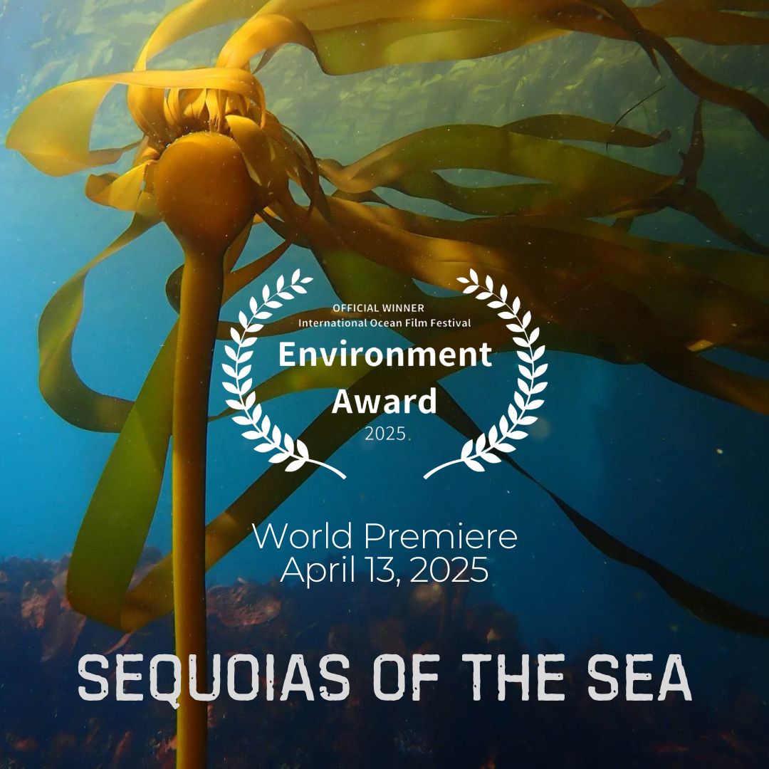 Natasha Benjamin tweet media