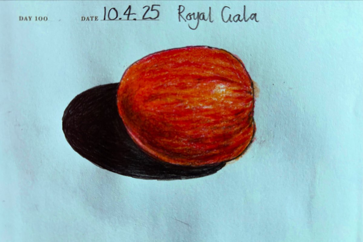 Venster67's tweet image. One Sketch A Day 10.4.25
‘Royal Gala’🍎 
#royalgala #apple #fruitstudy #stilllife #onesketchaday #sketchbook #visualdiary #art #illustration #pencilsketch