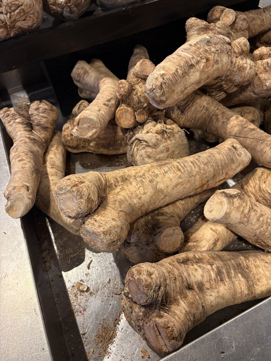 What is this? Wrong answers only… #Passover2025