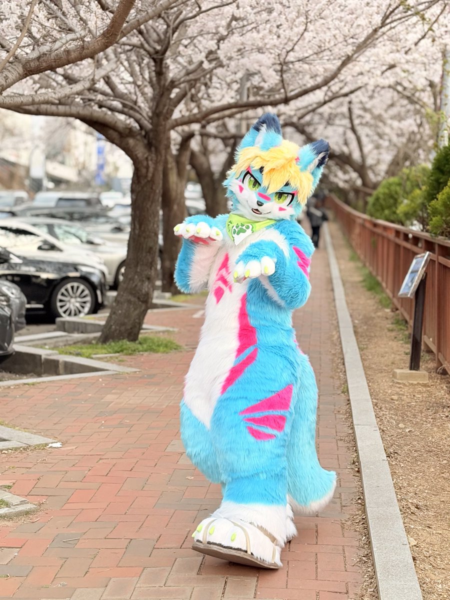 #FursuitsFriday 
#Aru #阿鲁 

야옹🐾

📸:<a href="/Konpard2A4/">Kona ☕</a>