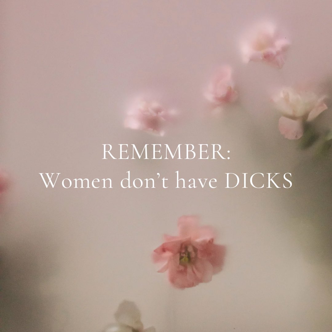Terfs_R's tweet photo. Just putting this out there.
🤍🤍🤍 https://t.co/1YwK9pyQzT
