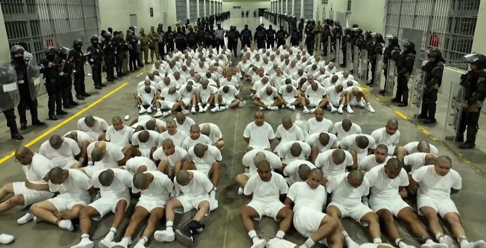 Libs of TikTok tweet media