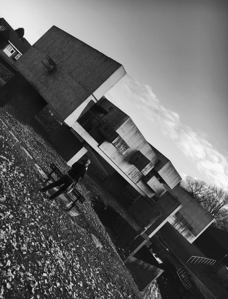 DeadBeatDescendant #FBPE 🇪🇺🇬🇧💙 tweet media