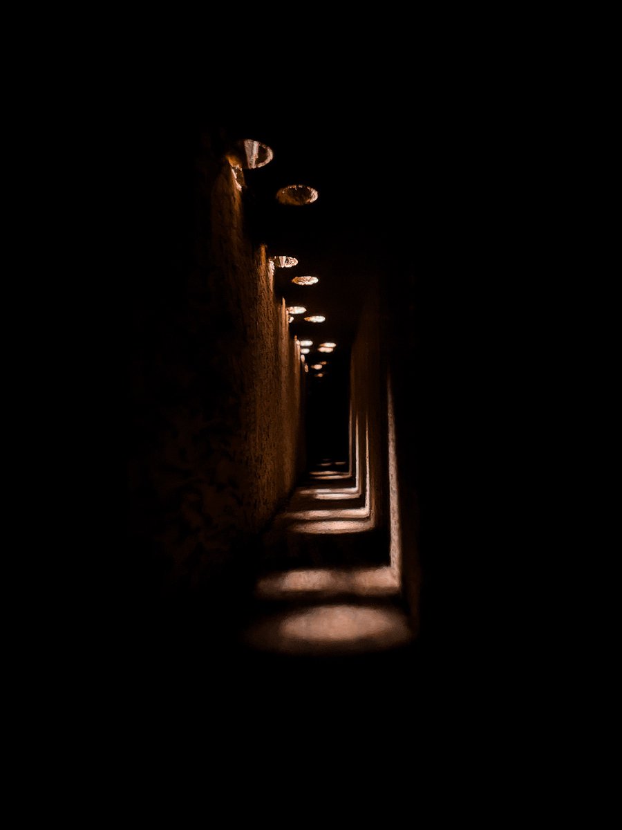 ashenarbor's tweet photo. We awoke in the depths of an ancient tree. 
Its cold, hollow roots cut through the shallow 
Ground. Dust stormed in the radiant skylights. 
The surface was begging us to breach. 

When the tree finally gave us egress, we crawled 
Out of its split womb. The tree stood strong and
Alone, a beacon in the dead flats, shattered dirt. 
A couple branches still held leaves. It was the last
Surviving shade for nothing to enjoy. I brushed
The flaking bark with a softer warmth. Leaves
Sighed in the wind. A brittle soldier fell and
Landed on my head.

At first, the heat was wonderful.
An open land of opportunity.
It got old, quick, even for my smile. 
The heat pressed us into the ground.
The wasteland had us walking in circles.
The sun hovered over our heads. 
Dawn told him to leave. 
Her words burned hotter than the air.
The sun asked why? 
“You were cold and lost in the tree,
Then alone in the long desert. 
I’m keeping you company.”
~L

1/2