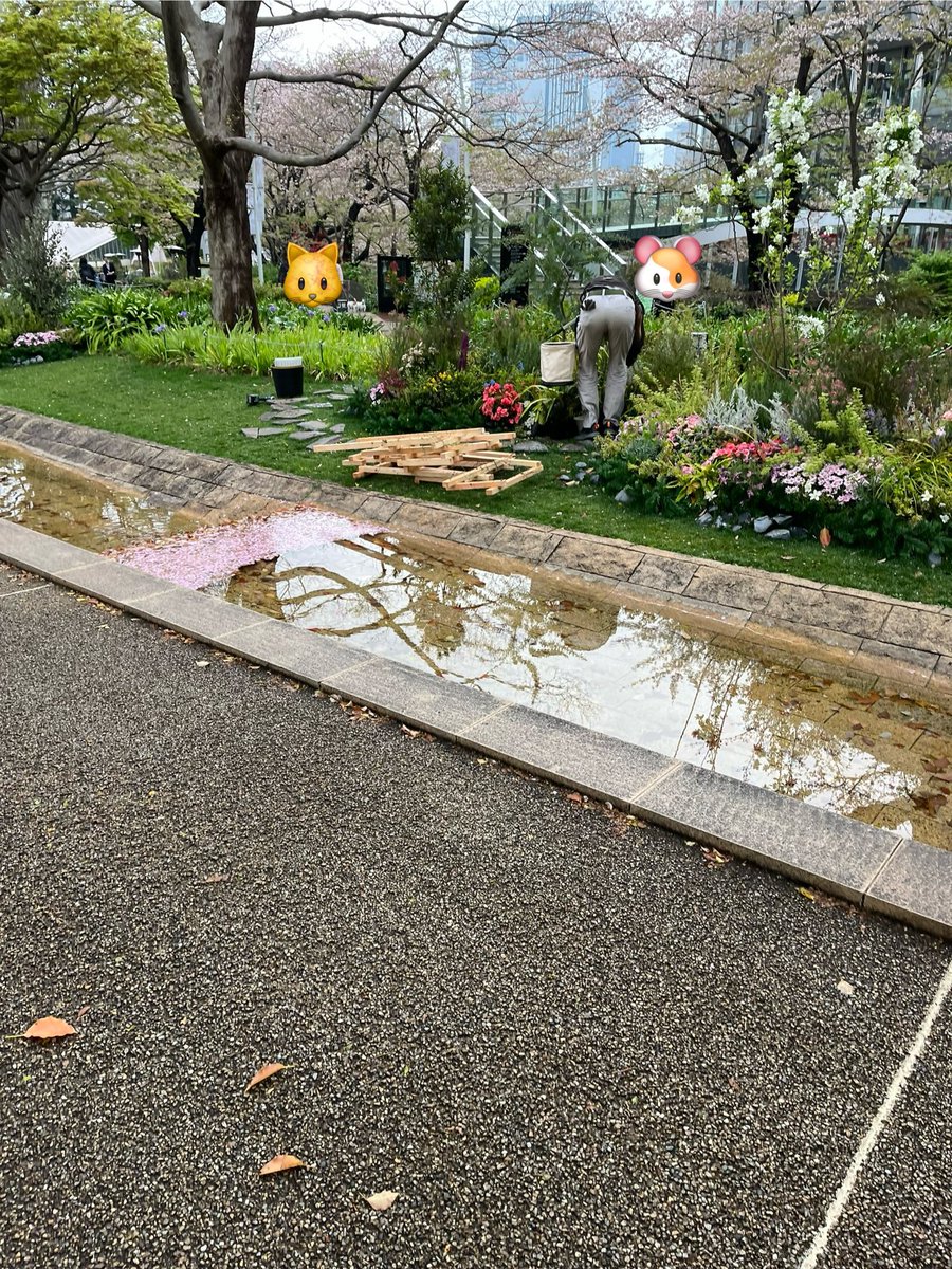umaimaru's tweet photo. The reason why the flowers in the park are always kept beautiful is because there are people who take care of them early in the morning. 
Thank you. https://t.co/YY4NcRsQAp