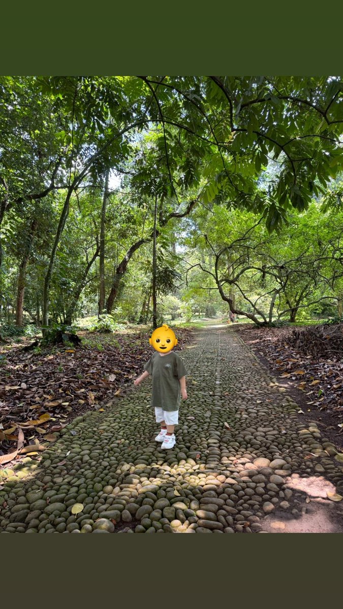 kooooichii's tweet photo. Bogorに家族旅行。 https://t.co/2lXvjMIUXw