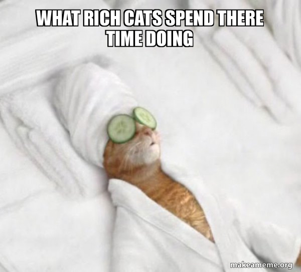 RichOrangeCat (ROC) tweet media