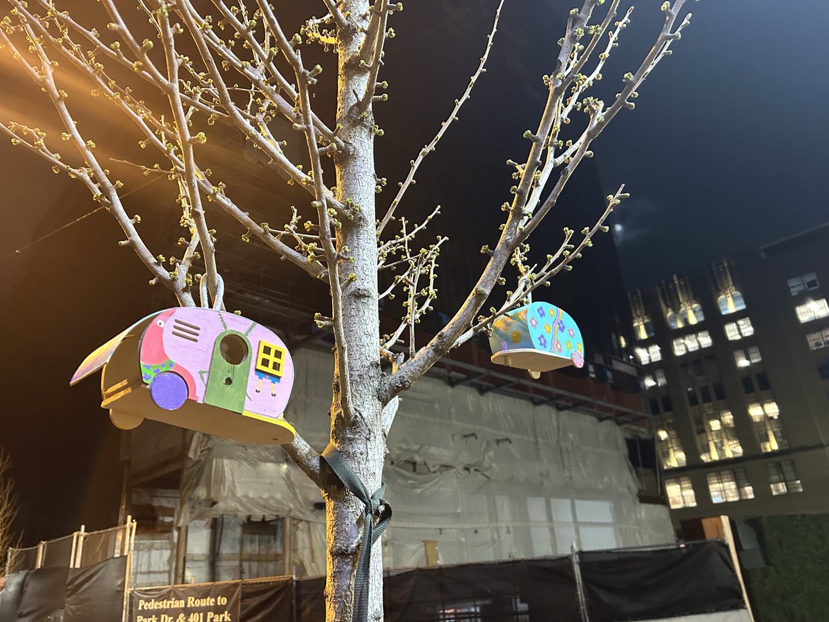 Spring is coming to Boston 🥳