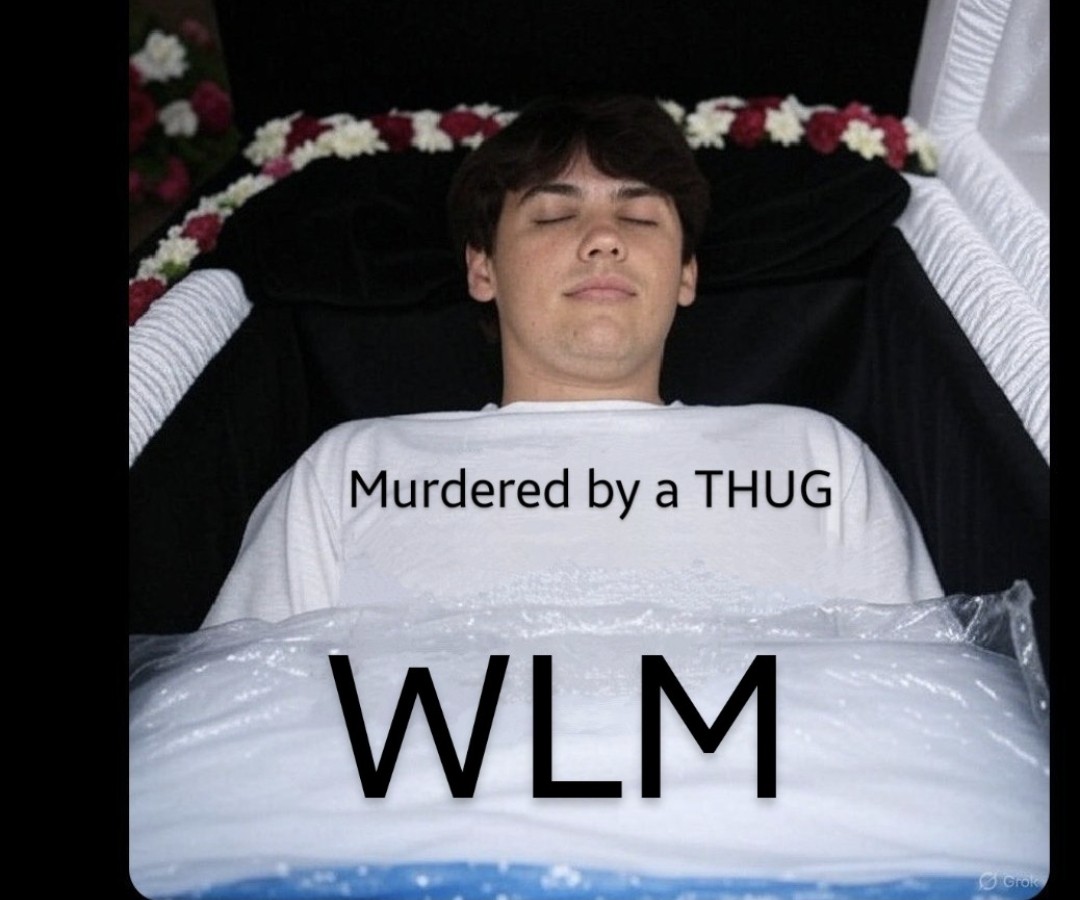 KrazyKatMom tweet media