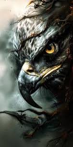 كن كال النسر يختار فرسته بعنايه