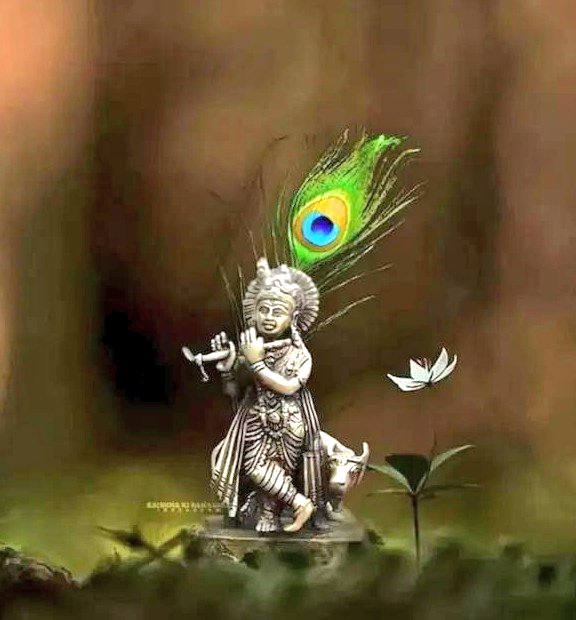 जय श्री कृष्ण!💐🌹🚩