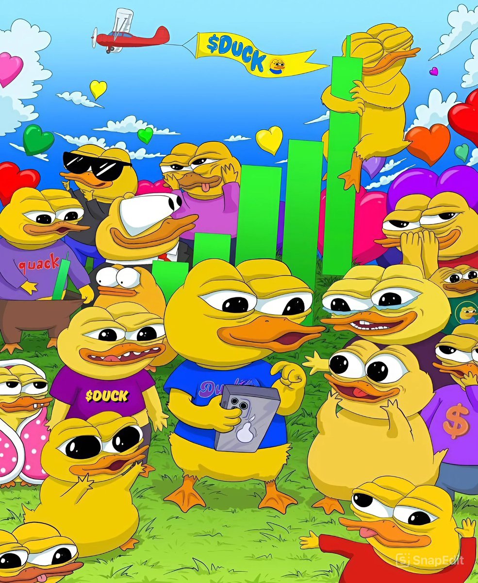 DUCK | BNB tweet media