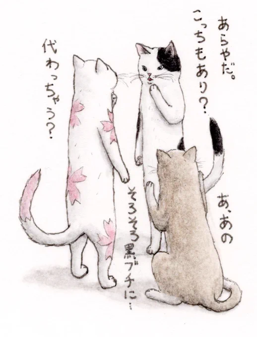 #あなたの描く四季が見たい  
🌸☀️🍂❄️😸😽😼🐾 