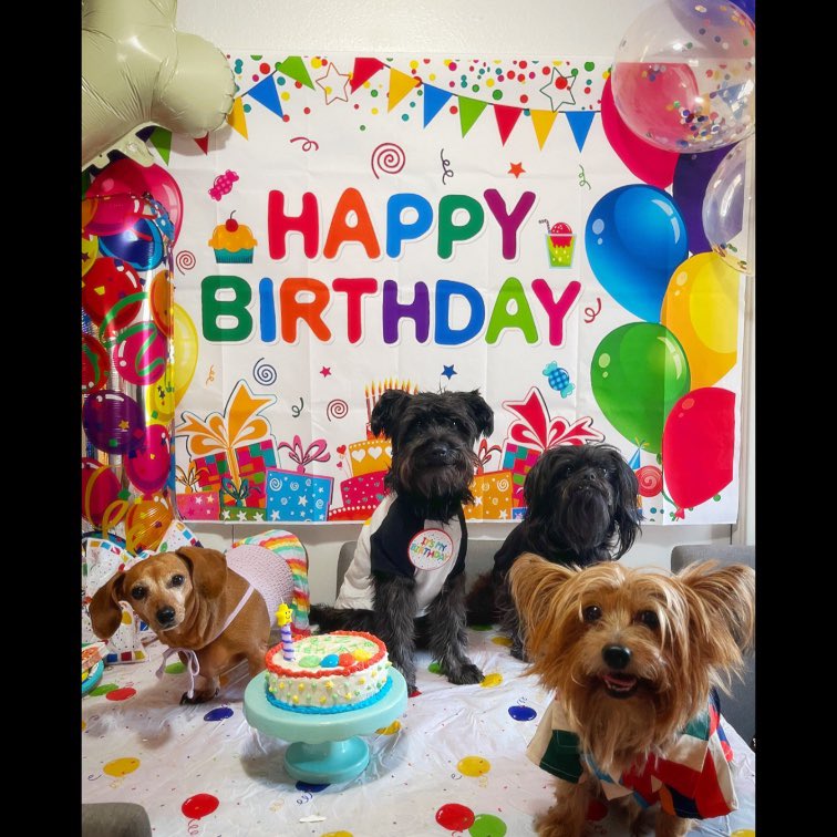 rebexxgtz's tweet photo. Our sweet Zoë girl’s 1st birthday.🎈🎂 https://t.co/RJAJnQ2ugb