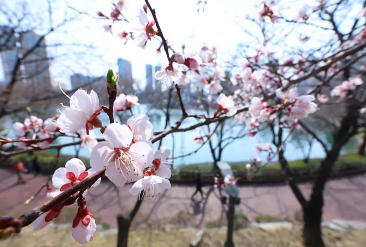 sookwan chae (@drchaesk) on Twitter photo 