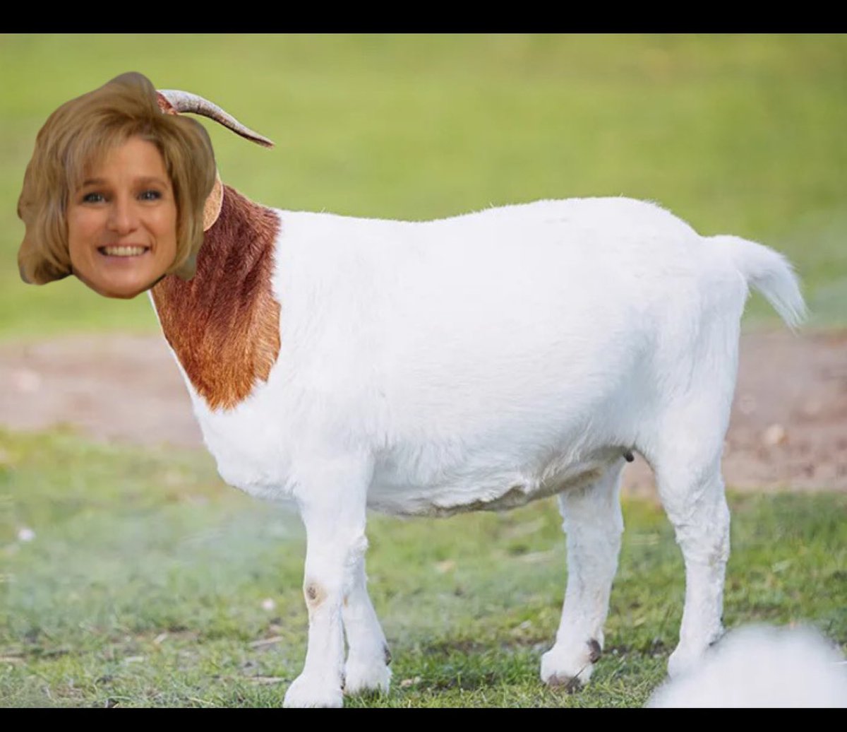 quick shout out and happy birthday to none other than the GOAT  herself 
MICHELLE CLOUSER PENROD 🙌🙌
<a href="/ClouserPenrod/">Michelle Clouser Penrod</a> 
happy 28th birthday to the legend  we hold dear to our hearts here at South Adams