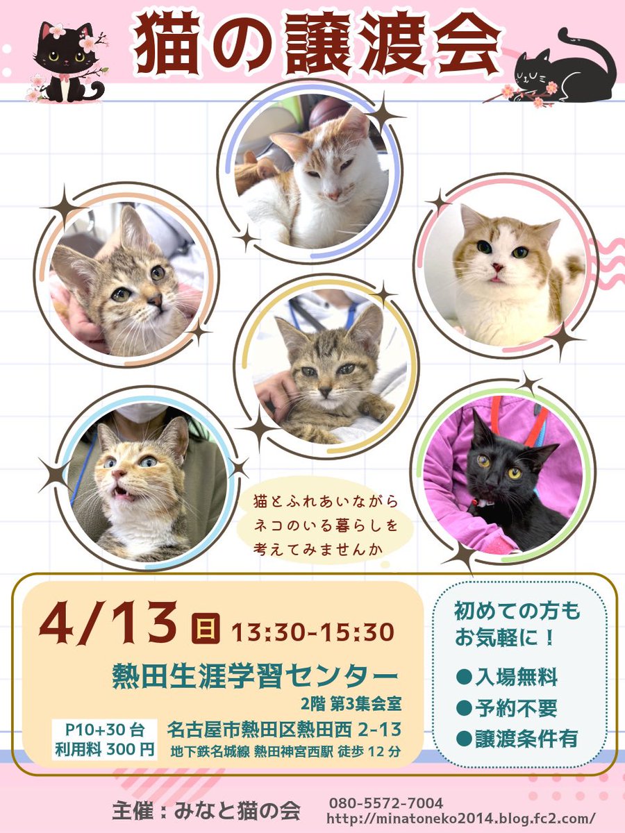 minatonekonokai's tweet photo. #拡散RPお願いします 
譲渡会を多くの方々に知っていただくことで助かる命があります
いつも告知のご協力ありがとうございます

【猫の譲渡会】
•4/13(日)13:30-15:30
•名古屋市熱田生涯学習センター

ご家族で
お友達と
おひとりさ��も
お気軽にお越しください🍀

#譲渡会 #猫好きさんと繋がりたい https://t.co/LW2sTKRpRc