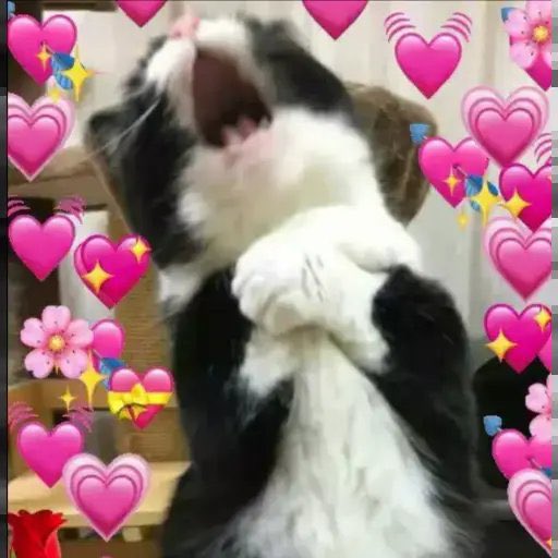 MAY CAME HOOOOOOOMEEEEEEEEEEEE WELCOME BACK BBG 
#911onABC