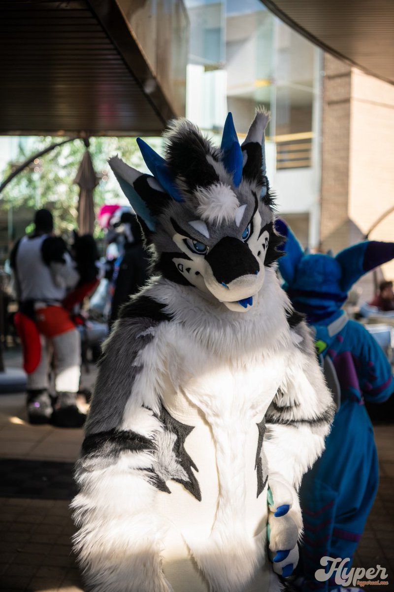 This dragon is en route to #TFF2025 
Come say hi!

📸 <a href="/jordanfelle/">Jordan Felle</a>