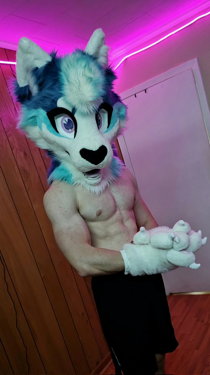 Sorry it's been awhile, life's crazy- have a progress post 💪🩵
#furry #fursuit #gymfur